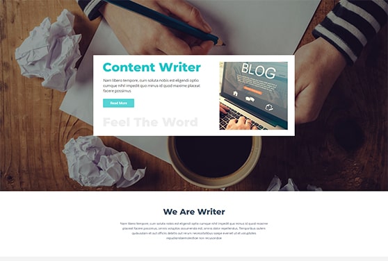  Content Writer WordPress Theme
